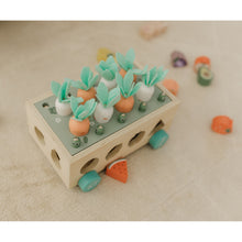 Load image into Gallery viewer, Bubble Wooden Vegetable Garden