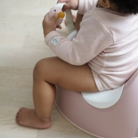 Training Potty