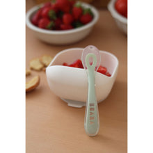 Load image into Gallery viewer, Beaba 2nd Stage Silicone Spoon - Misty Green
