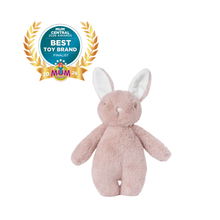 Load image into Gallery viewer, Bubble Lulabelle the Bunny
