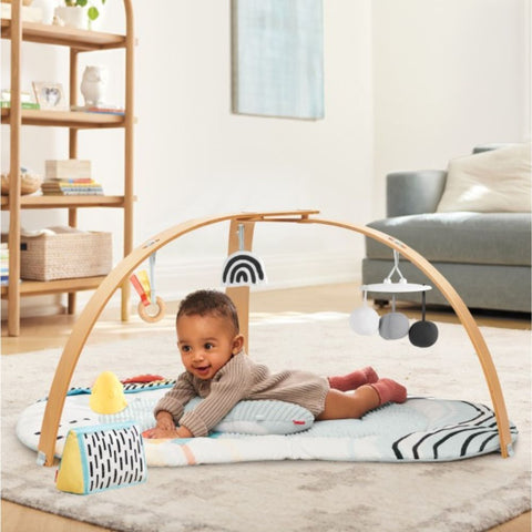 Skip Hop Activity Gym