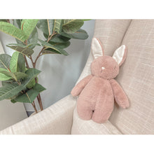Load image into Gallery viewer, Bubble Lulabelle the Bunny
