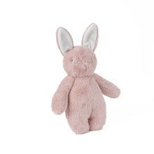 Load image into Gallery viewer, Bubble Lulabelle the Bunny
